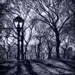 Central Park Ne..