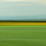 Abstract Photo, fields of g..