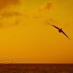 Sunset photo beach ocean dr..