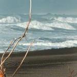 Beach Photo surf ocean wave..