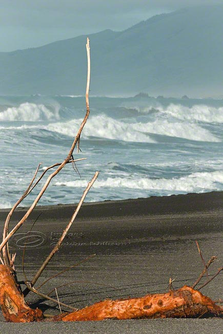 Beach Photo surf ocean waves black sand log print 8x12"