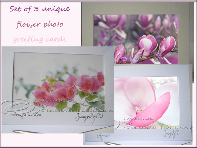 Greeting Card Set photo greeting card pink flower photo 5x7"