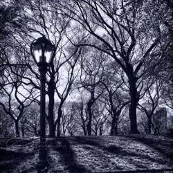 Central Park New York photo black & white architecture 8x12" print