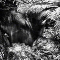 Abstract Photo black & white fine art print flowing motion 8x12" print