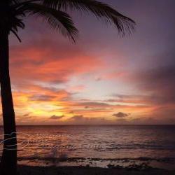 Sunset Photo ocean palm tree clouds purple orange print 5x7"