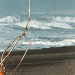 Beach Photo surf ocean waves black sand log print 8x12"