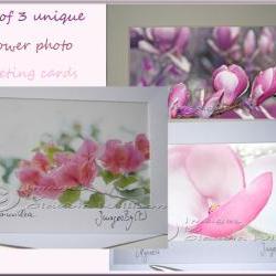 Greeting Card Set photo greeting card pink flower photo 5x7"